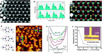 功能化六方氮化硼纳米材料 新兴特性与应用综述（王熙 & Dmitri Golberg, Chem. Soc. Rev.）